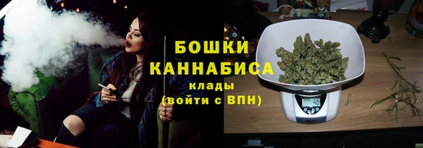сатива Абинск