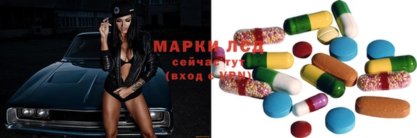 сатива Абинск