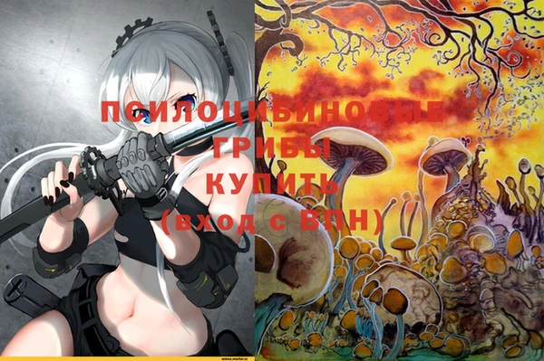 кокс Абаза