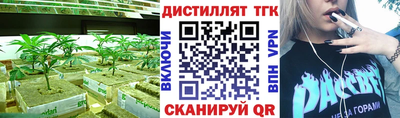 где продают наркотики  Сафоново  OMG рабочий сайт  Дистиллят ТГК концентрат 