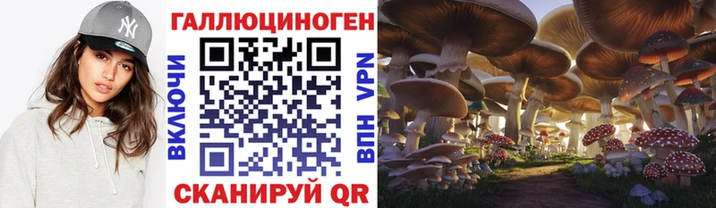 OMG ссылки  Сафоново  Псилоцибиновые грибы Psilocybine cubensis 